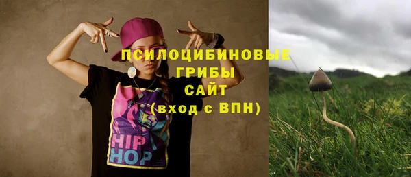 спиды Алексин