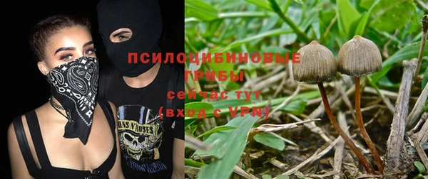 спиды Алексин