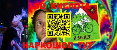 сатива Краснодар