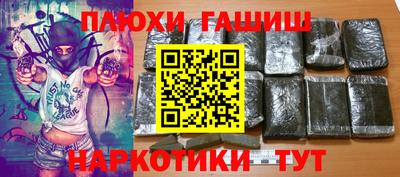 сатива Краснодар