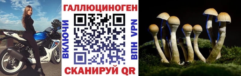где продают   Котовск  KRAKEN зеркало  Галлюциногенные грибы Cubensis 