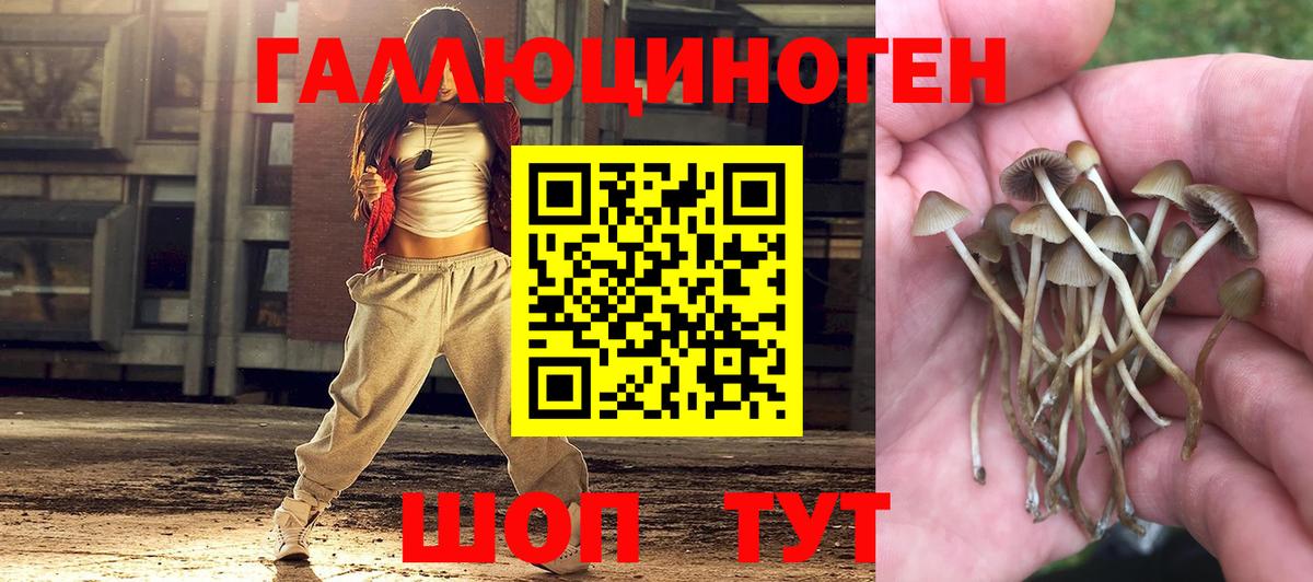 Котовск  Псилоцибиновые грибы GOLDEN TEACHER  Галлюциногенные грибы Magic Shrooms  Вход с VPN 