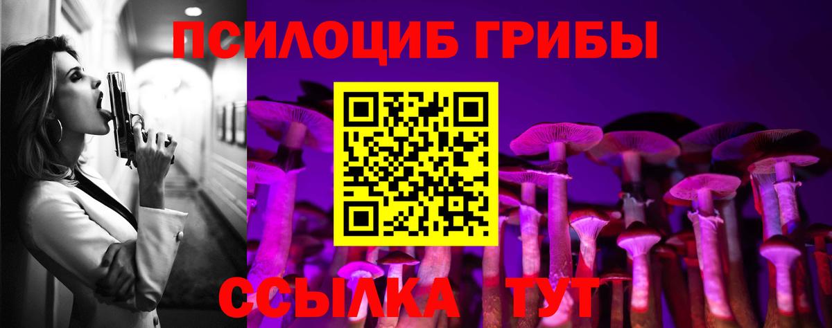 Галлюциногенные грибы MAGIC MUSHROOMS Котовск